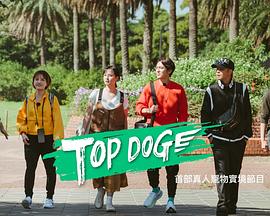 蜜桃直播《TOP DOG》免费在线观看