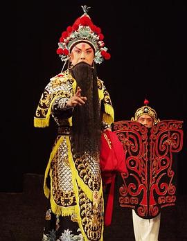 蜜桃视频《袁崇焕2009》免费在线观看