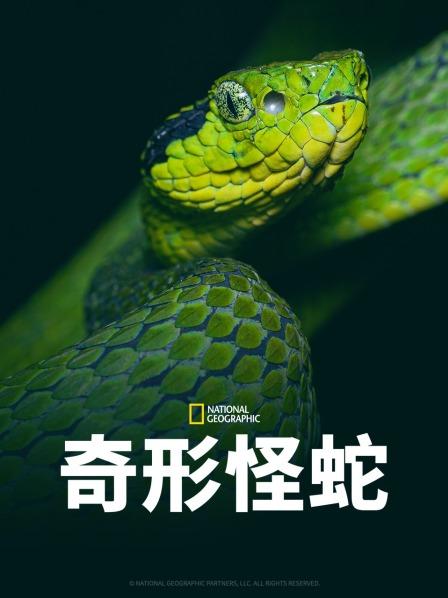 蜜桃视频《奇形怪蛇》免费在线观看